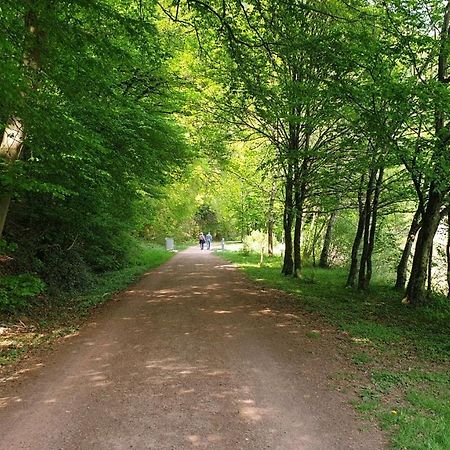 Ferienwohnung Am Saarweg Мерціґ Екстер'єр фото