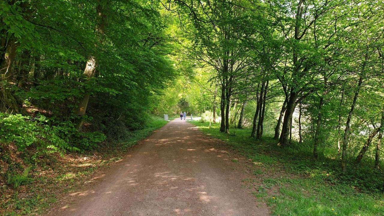 Ferienwohnung Am Saarweg Мерціґ Екстер'єр фото