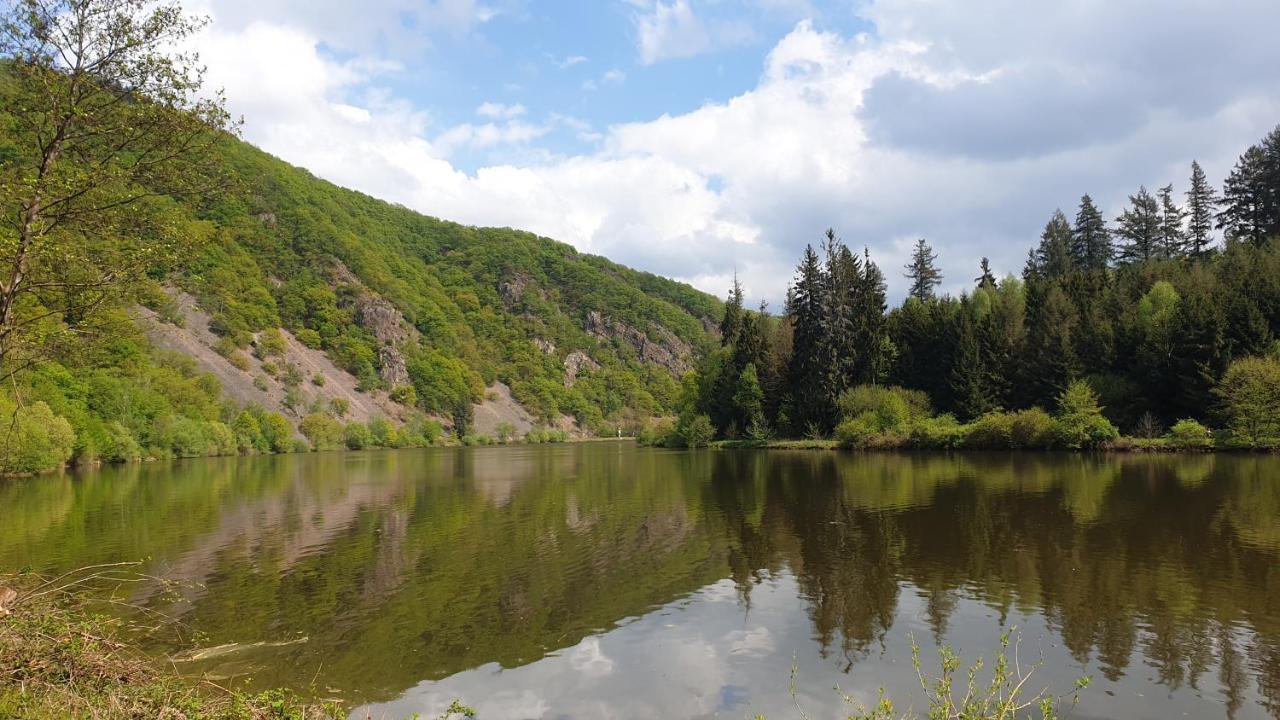 Ferienwohnung Am Saarweg Мерціґ Екстер'єр фото