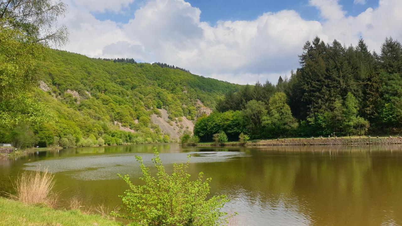 Ferienwohnung Am Saarweg Мерціґ Екстер'єр фото